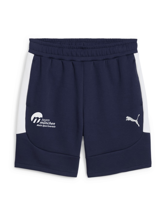 PUMA teamEVOSTRIPE Shorts