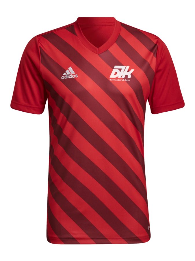 adidas Entrada 22 GFX Trikot
