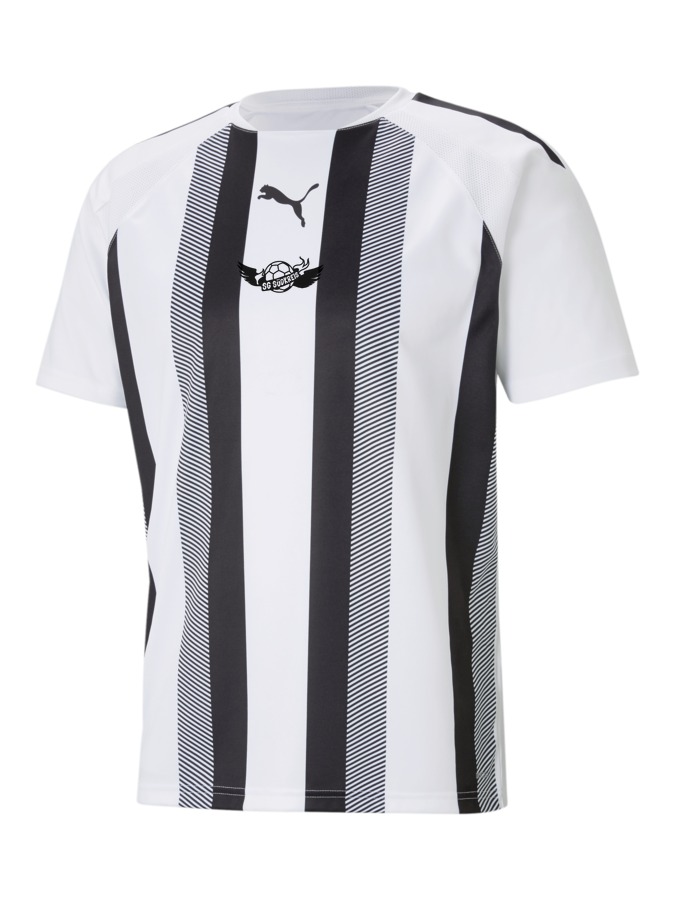 PUMA teamLIGA Striped Trikot