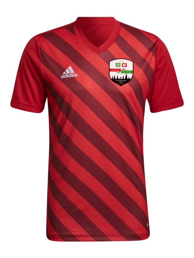 adidas Entrada 22 GFX Trikot