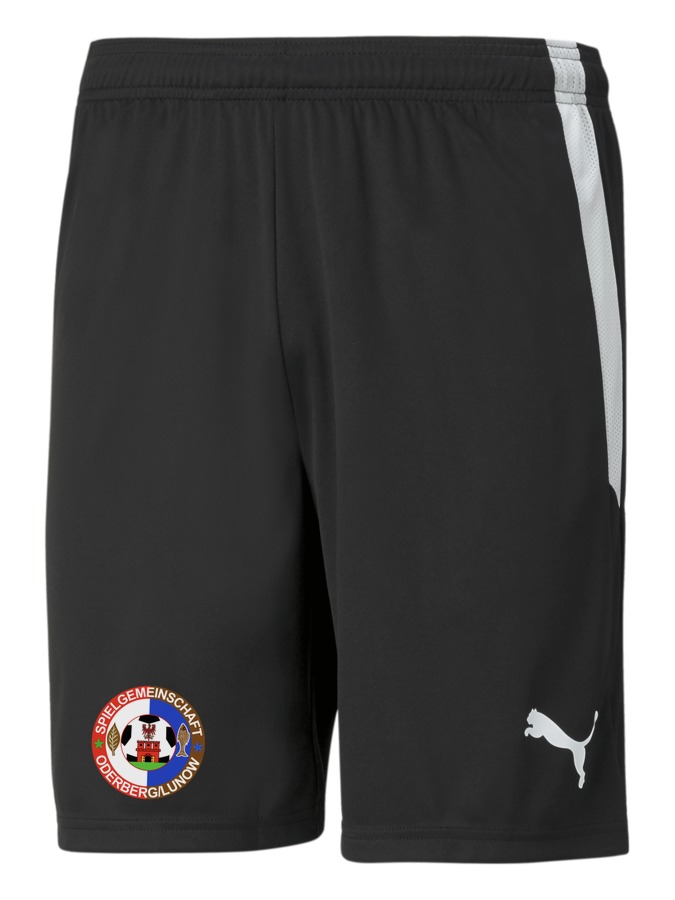 PUMA teamLIGA Shorts