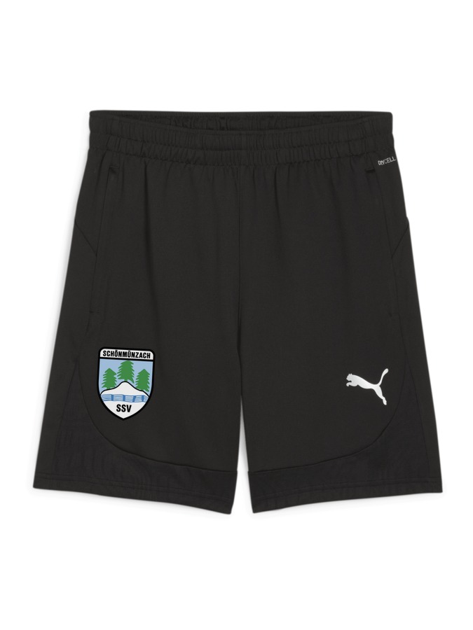 PUMA teamFINAL Training Shorts