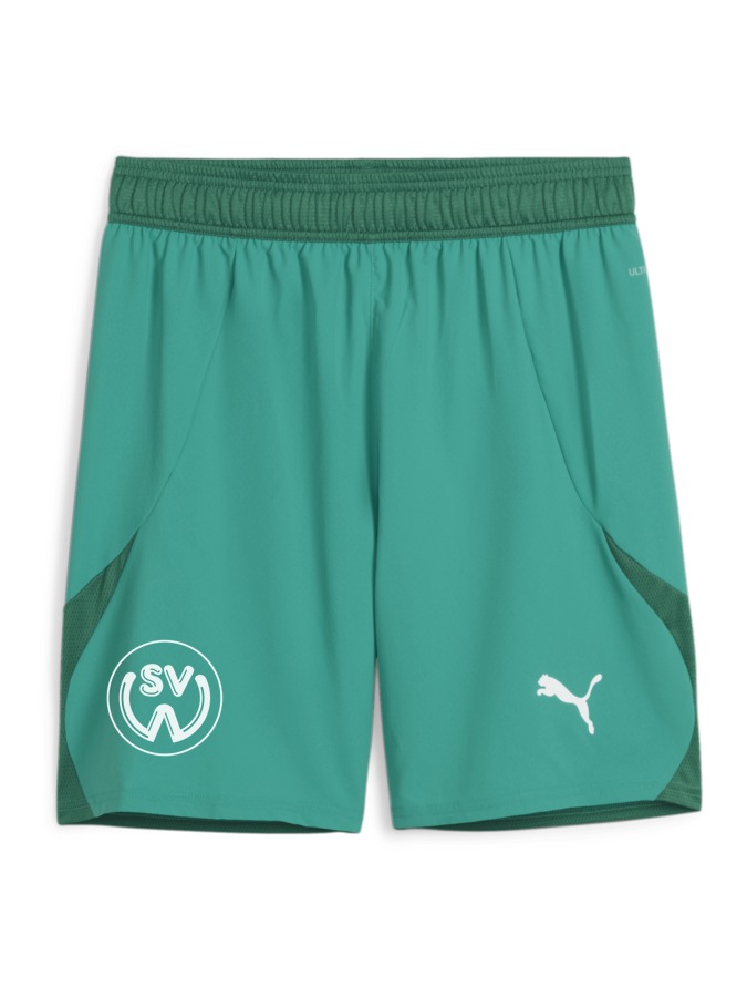 PUMA teamFINAL Shorts