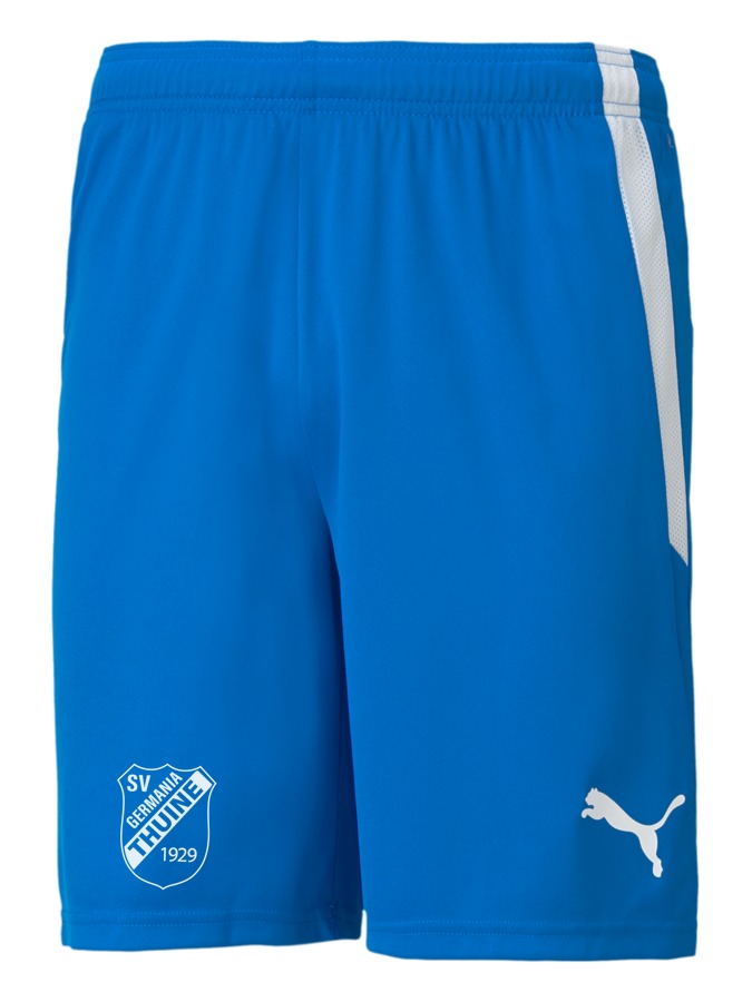 PUMA teamLIGA Shorts