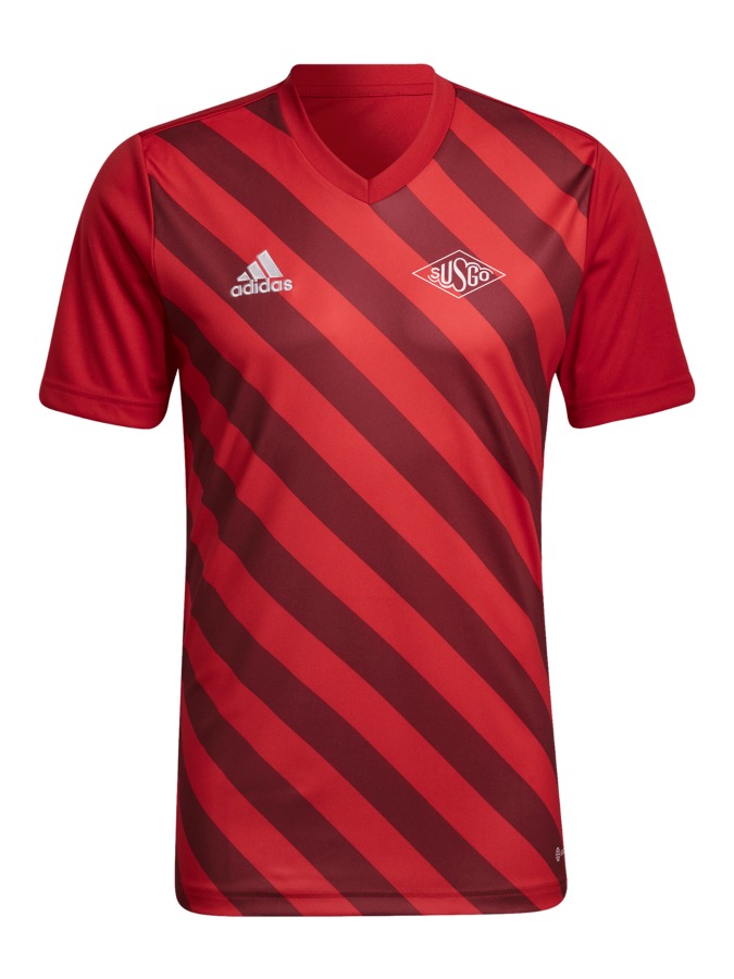 adidas Entrada 22 GFX Trikot