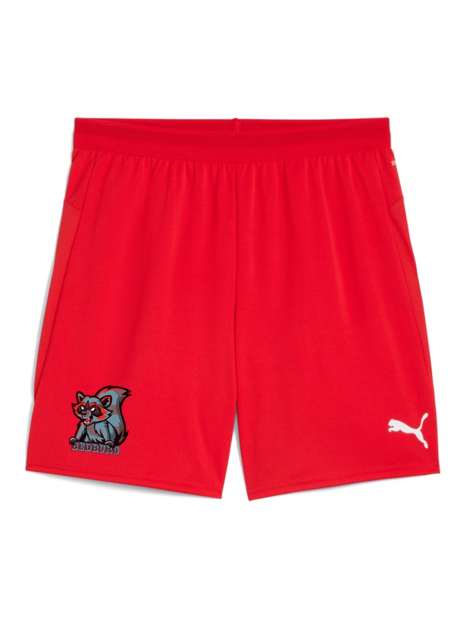 PUMA teamCUP Shorts