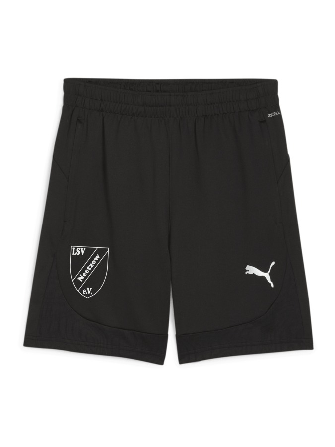 PUMA teamFINAL Training Shorts