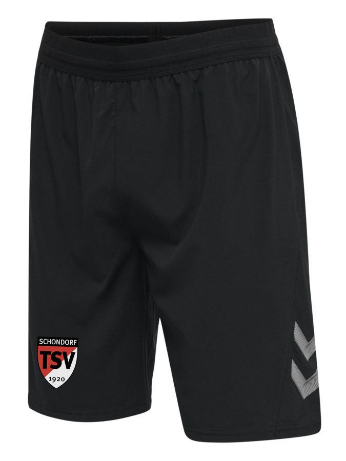 Hummel Lead Pro Training Shorts
