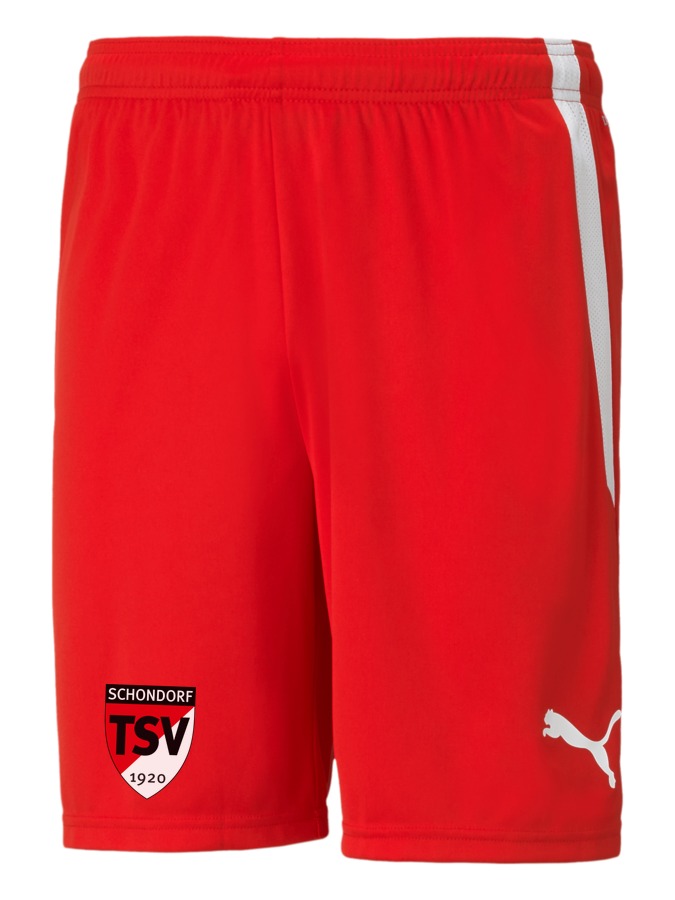 PUMA teamLIGA Shorts