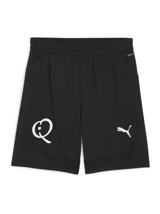 PUMA teamFINAL Training Shorts