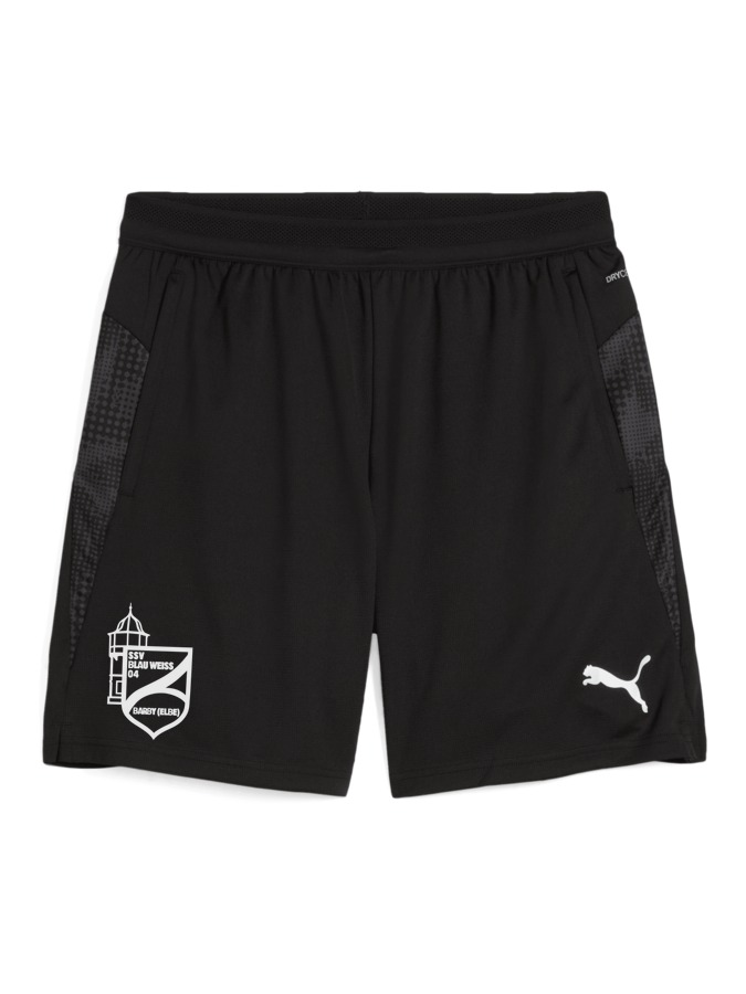 PUMA teamCUP Training Shorts