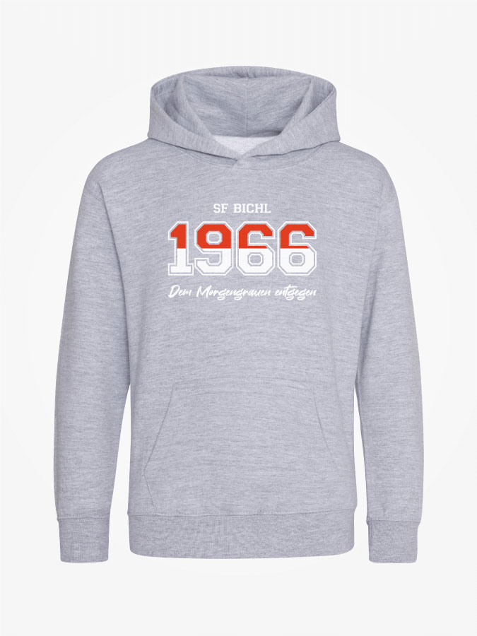 Hoodie Established Kids