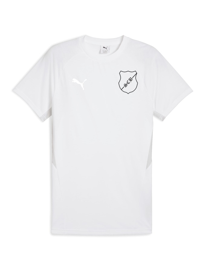 PUMA teamEVOSTRIPE T-Shirt