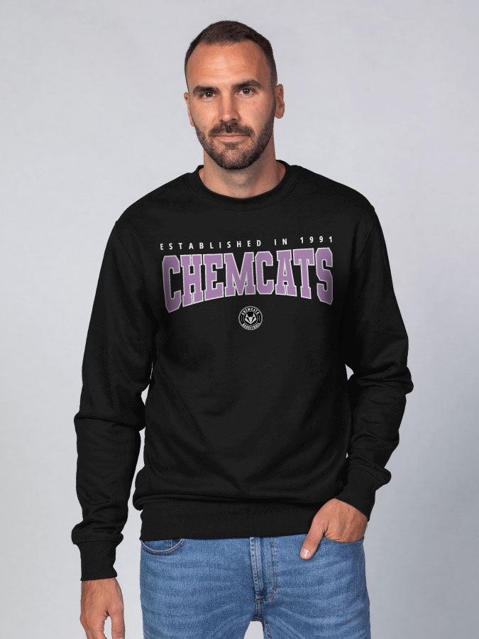 Sweater Retro Herren