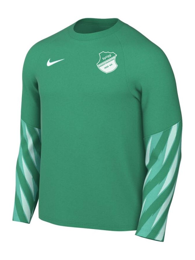 Nike Dri-FIT Park V Torwart Trikot Langarm
