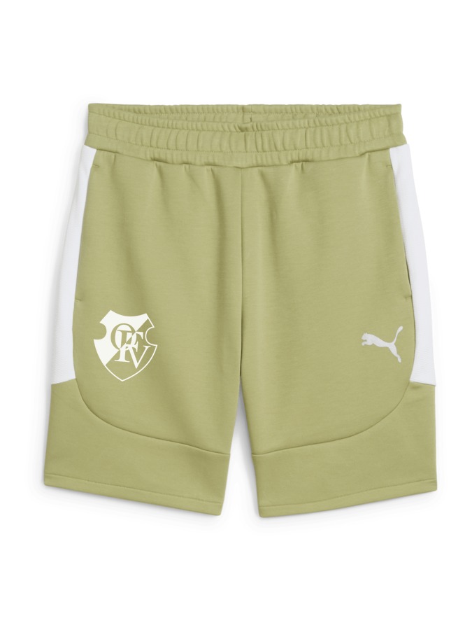 PUMA teamEVOSTRIPE Shorts