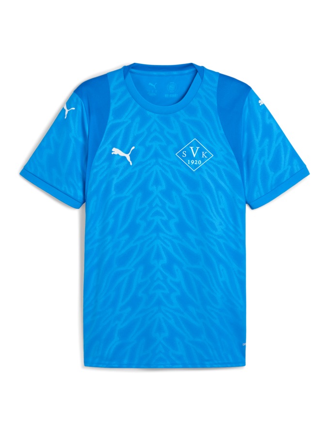PUMA teamCUP Trikot