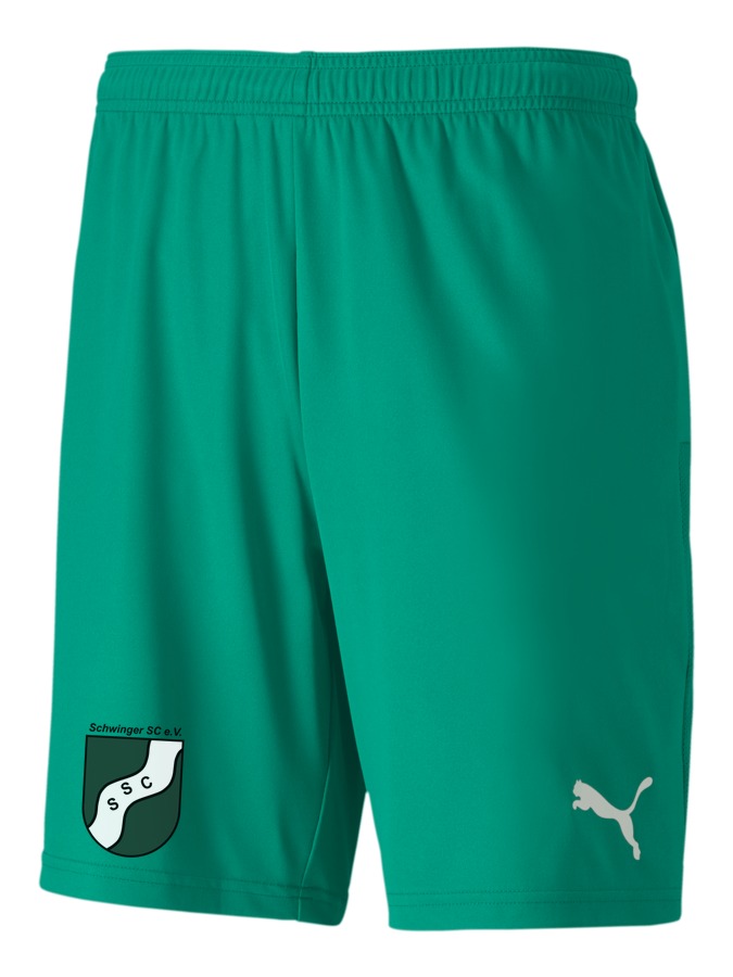 PUMA teamGOAL 23 Knit Shorts