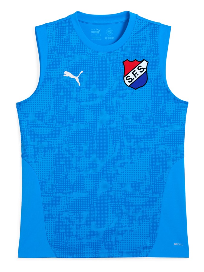 PUMA teamCUP Training Sleeveless Trikot