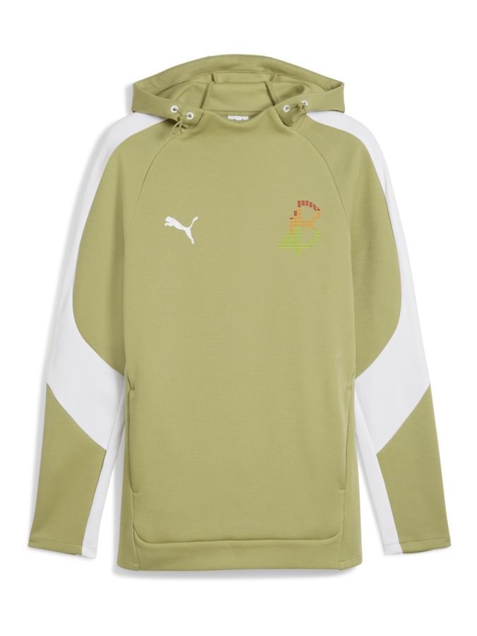 PUMA teamEVOSTRIPE Hoody