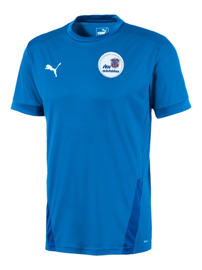 PUMA teamGOAL 23 Trikot