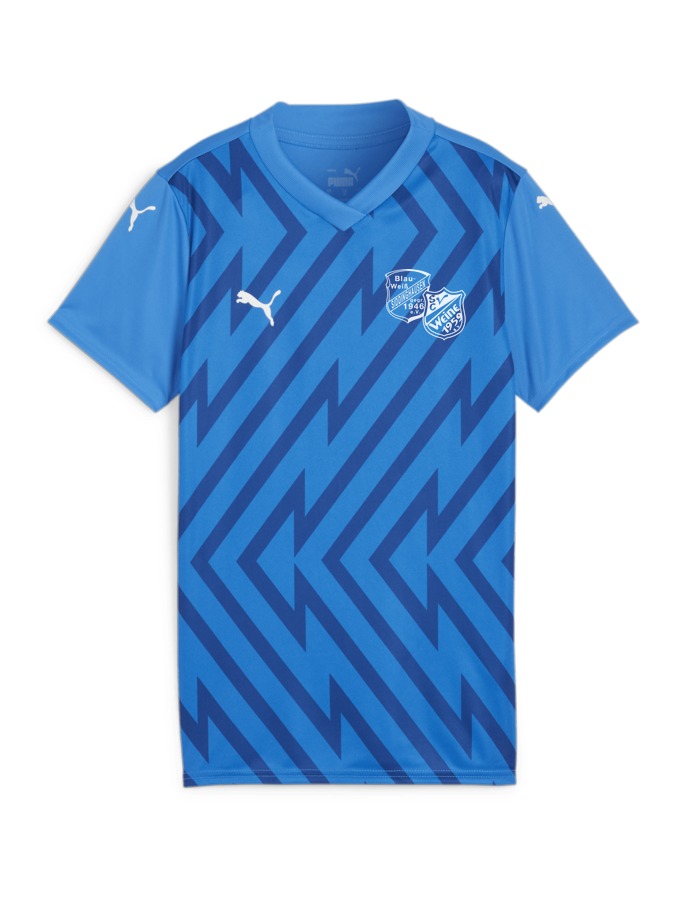 PUMA teamGLORY Trikot Damen