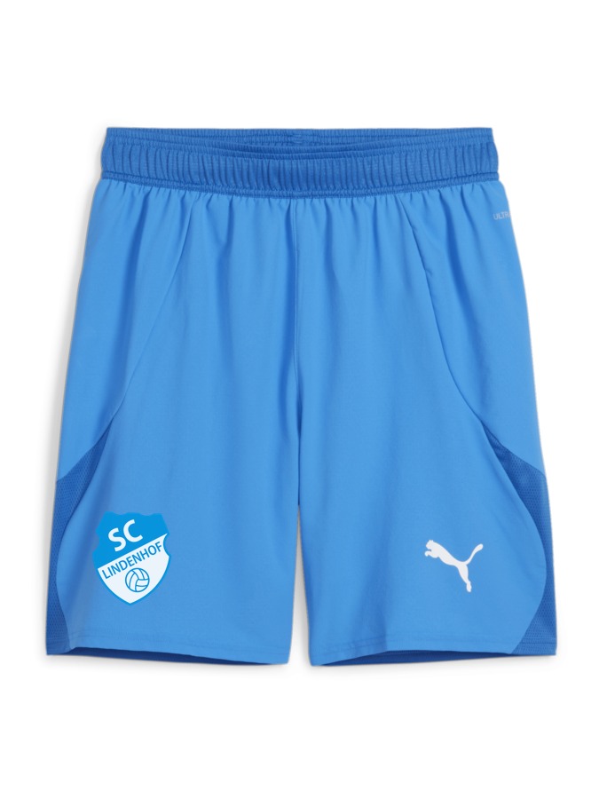 PUMA teamFINAL Shorts