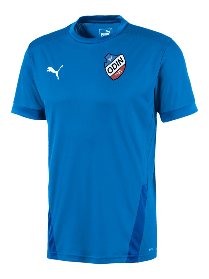 PUMA teamGOAL 23 Trikot