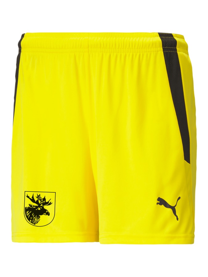 PUMA teamLIGA Shorts Damen