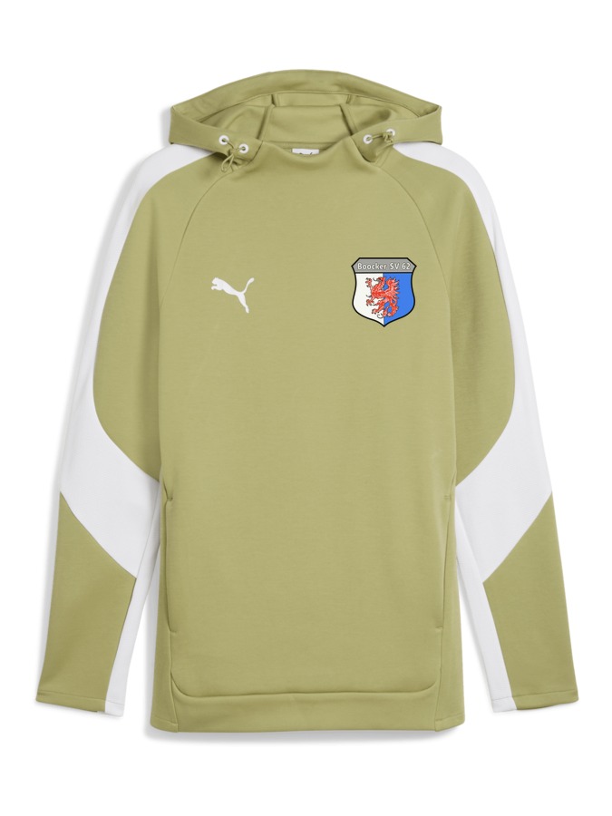 PUMA teamEVOSTRIPE Hoody