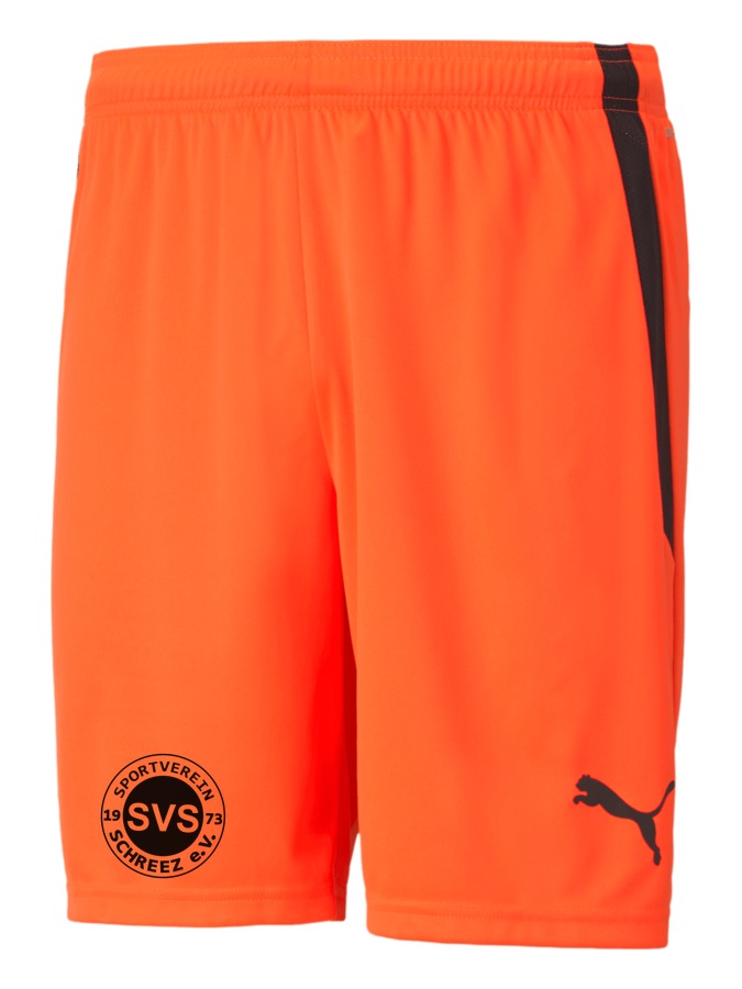 PUMA teamLIGA Shorts