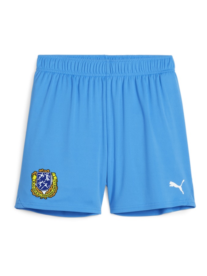 PUMA teamGOAL Shorts Damen