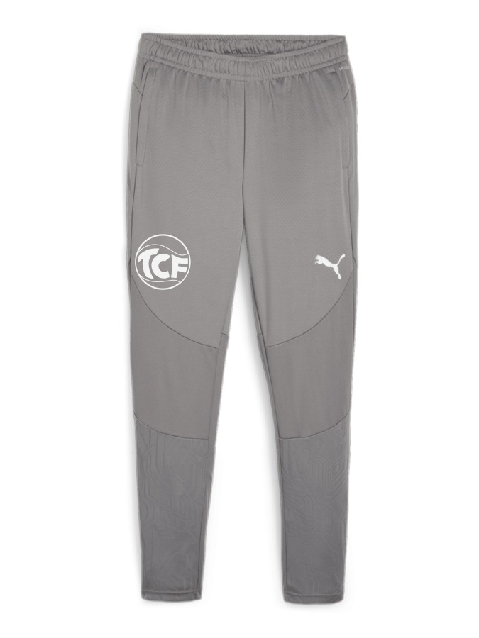 PUMA teamFINAL Trainingshose