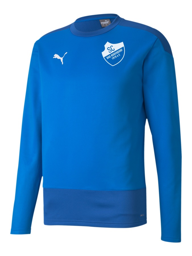 PUMA teamGOAL 23 Training Sweatshirt