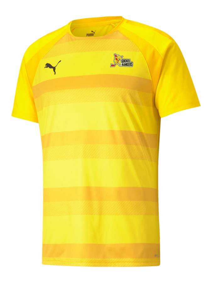 PUMA teamVISION Trikot