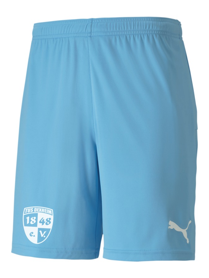 PUMA teamGOAL 23 Knit Shorts