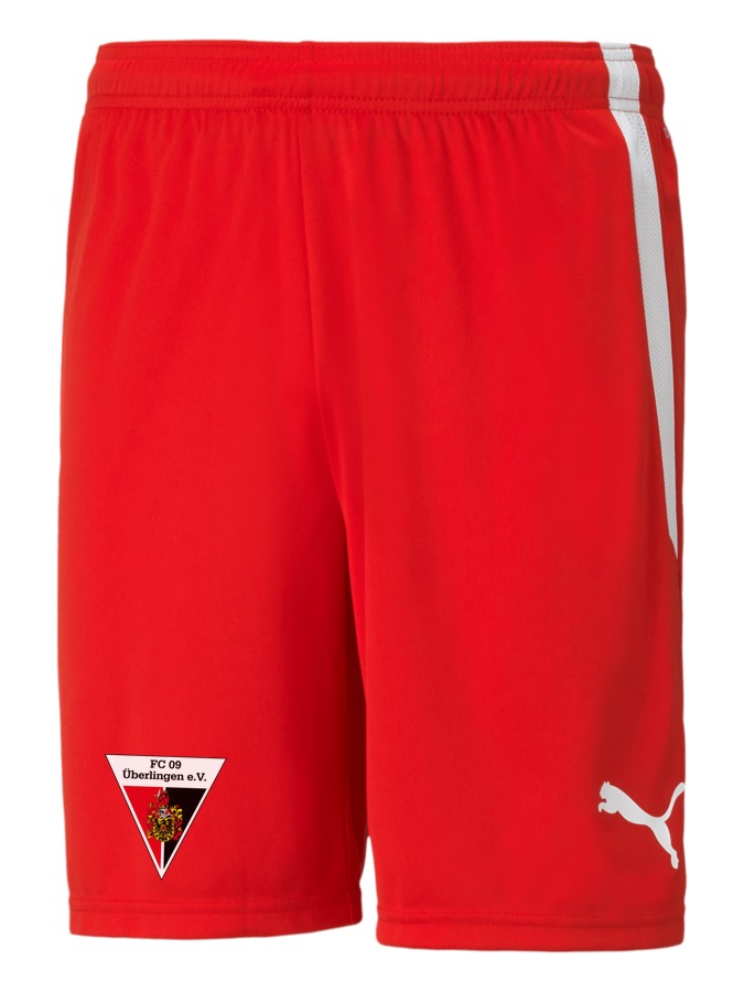PUMA teamLIGA Shorts