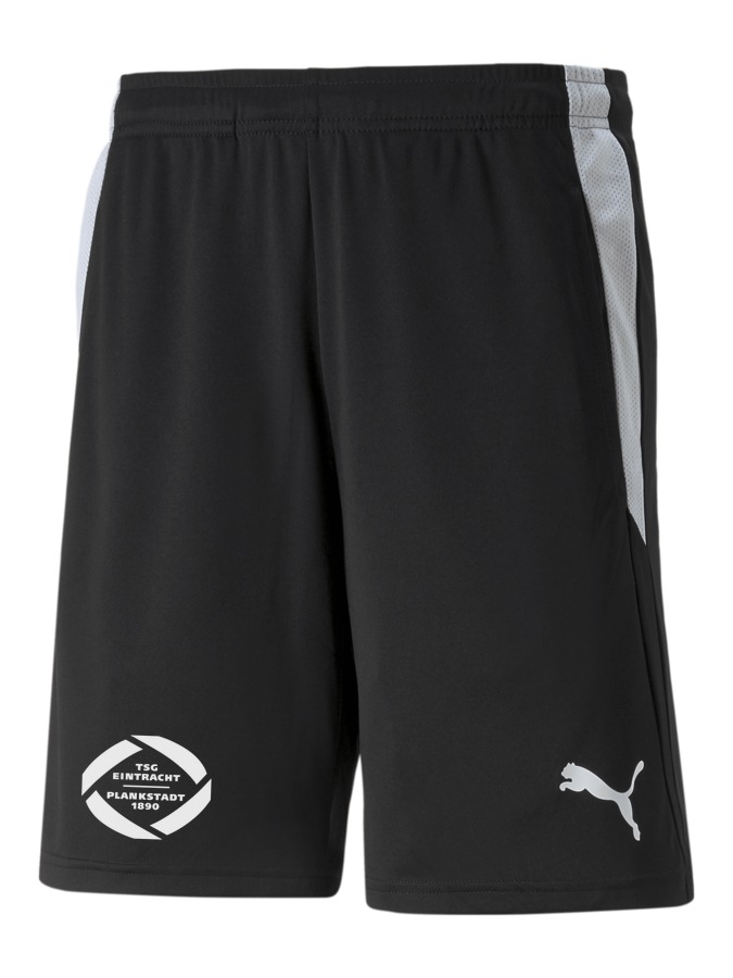 PUMA teamLIGA Referee Shorts