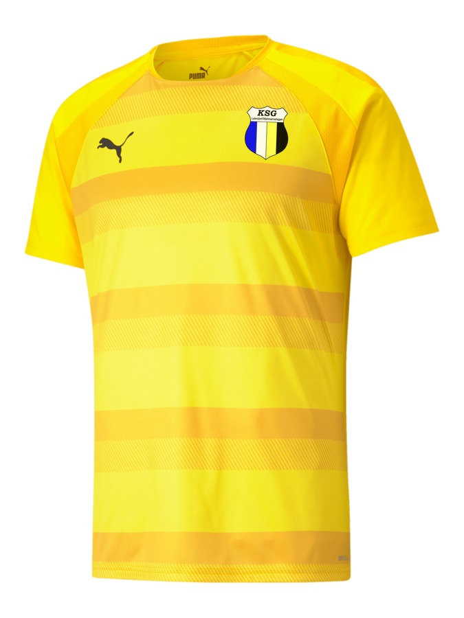 PUMA teamVISION Trikot