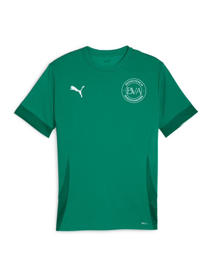 PUMA teamGOAL Matchday Trikot