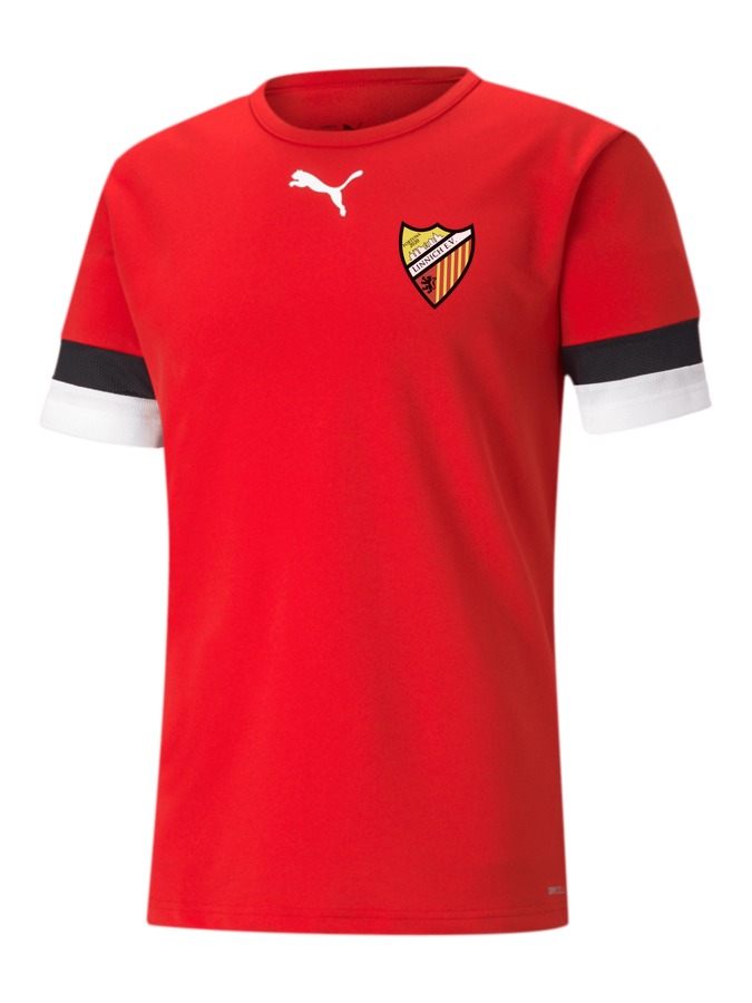 PUMA teamRISE Trikot