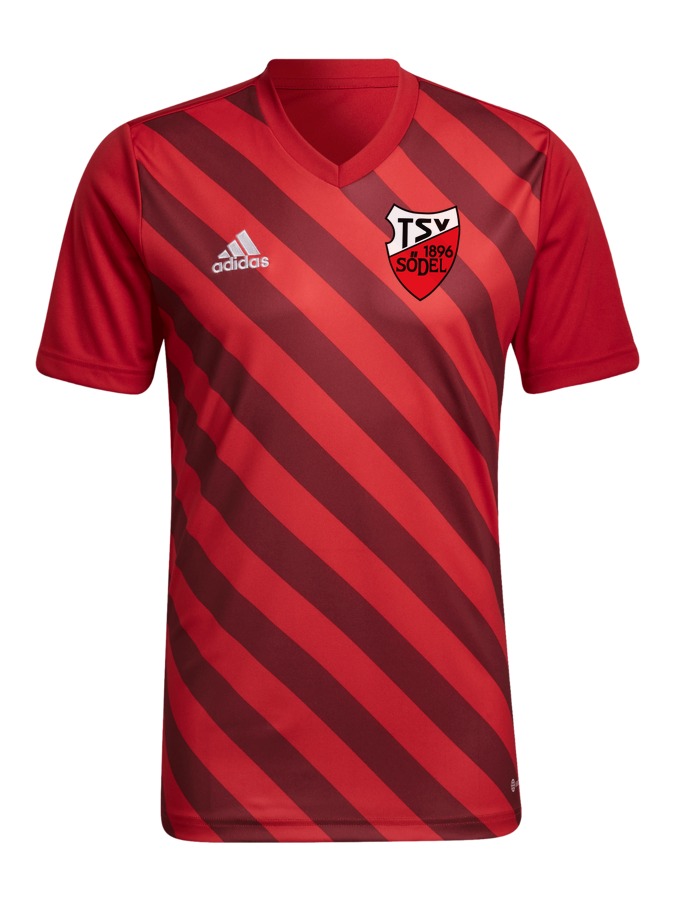 adidas Entrada 22 GFX Trikot