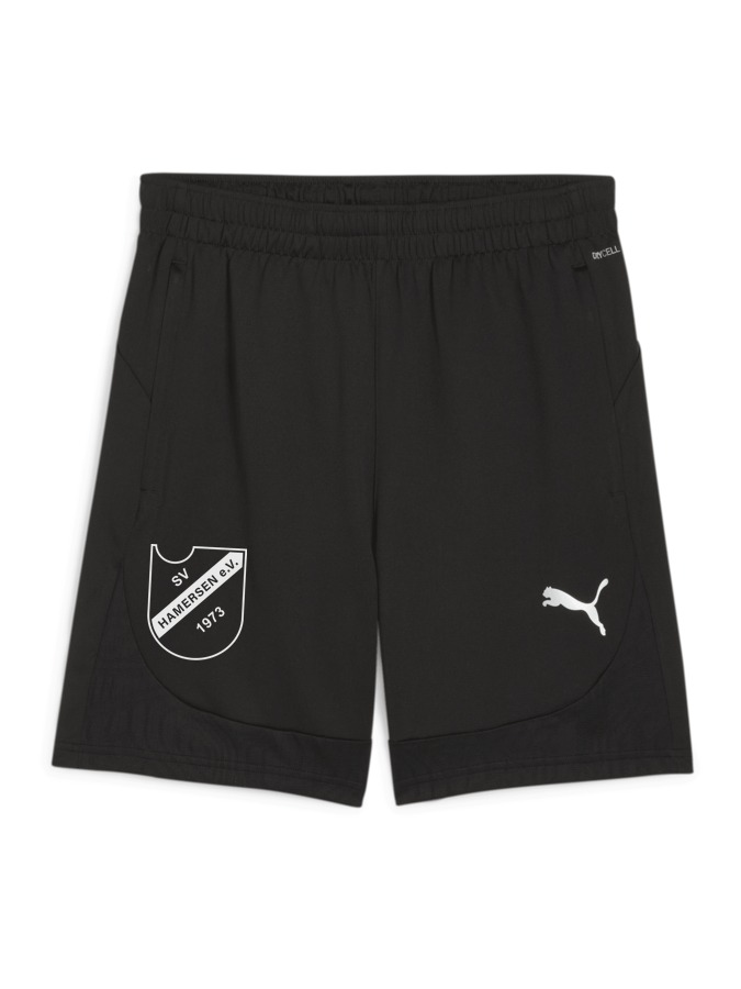 PUMA teamFINAL Training Shorts