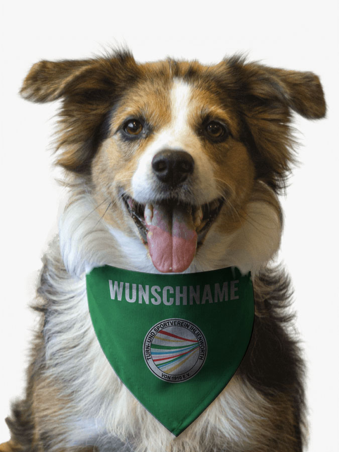Hundehalstuch