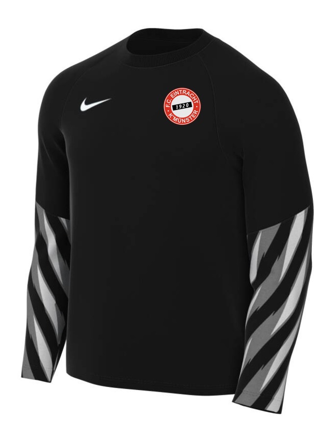 Nike Dri-FIT Park V Torwart Trikot Langarm