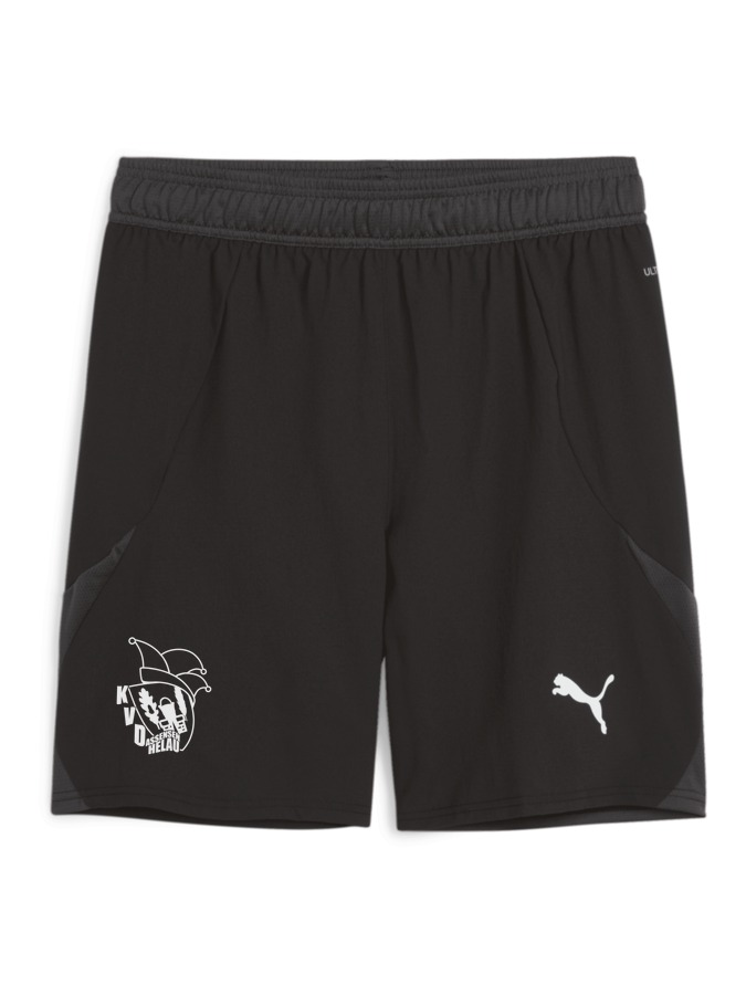PUMA teamFINAL Shorts