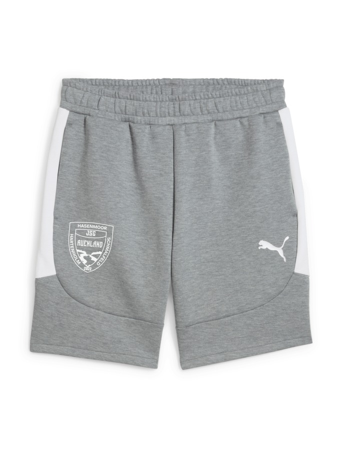 PUMA teamEVOSTRIPE Shorts