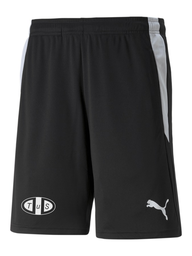 PUMA teamLIGA Referee Shorts