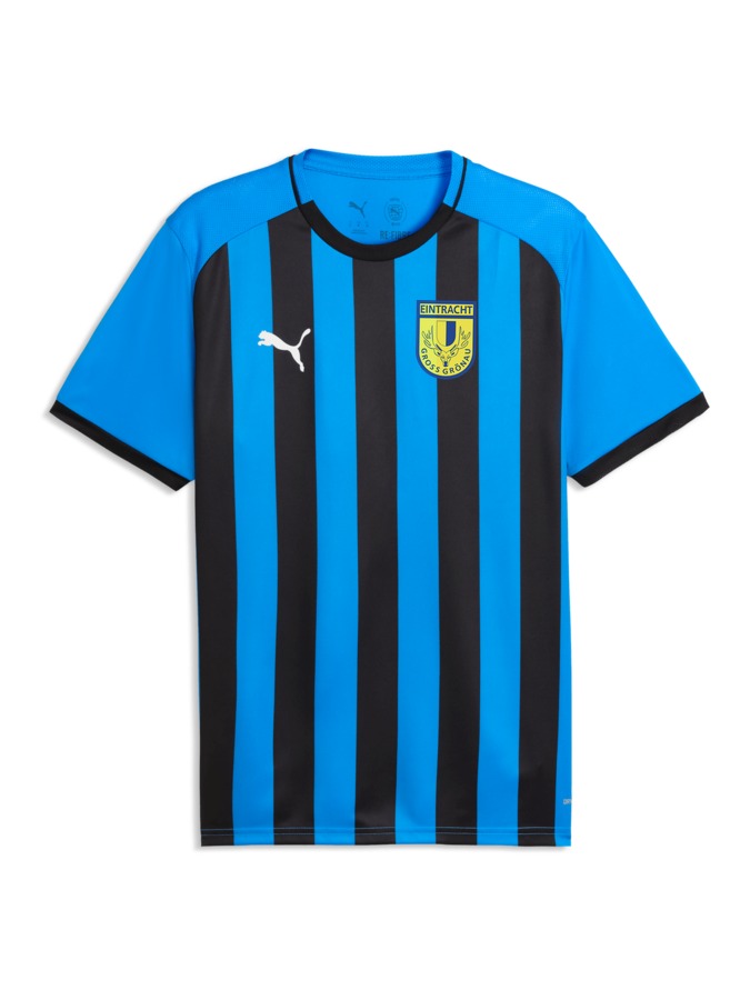 PUMA teamLIGA26 Striped Trikot