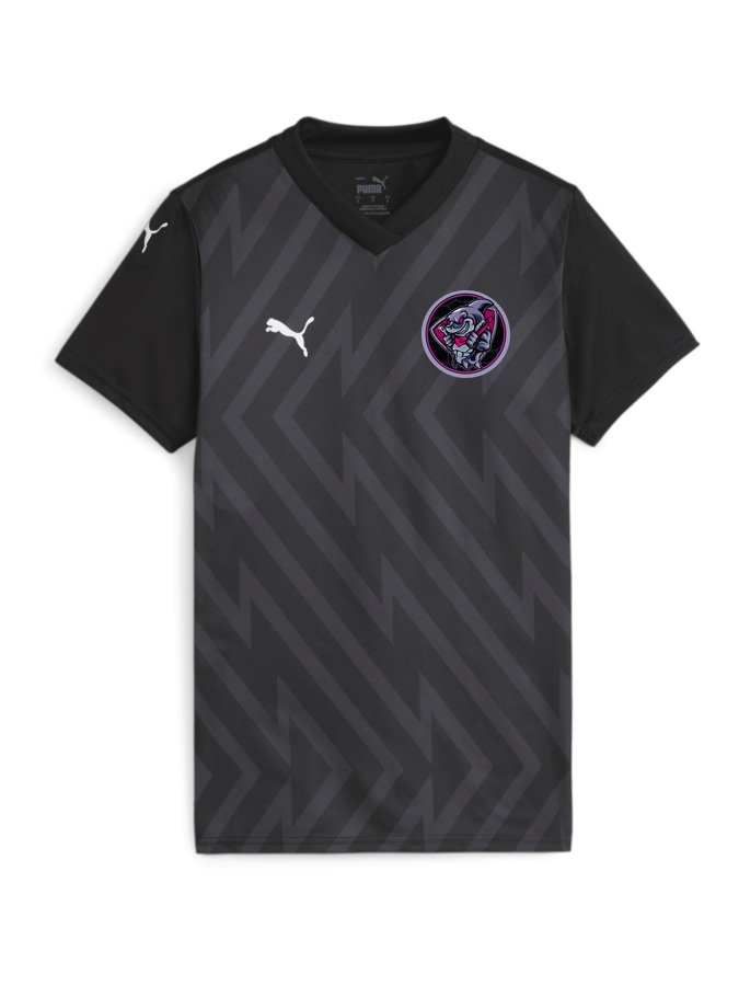 PUMA teamGLORY Trikot Damen